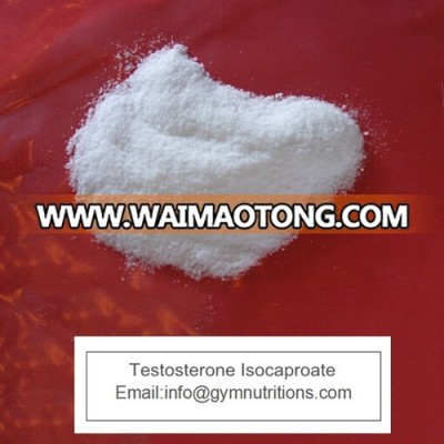 High Purity Testosterone Isocaproate Raw Powder info@gymnutritions.com
